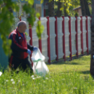 Az MKC SE és az MTE 1904 csapata is csatlakozott a Teszedd! önkéntes szemétszedő akciójához (Fotó: Bánhegyi István)