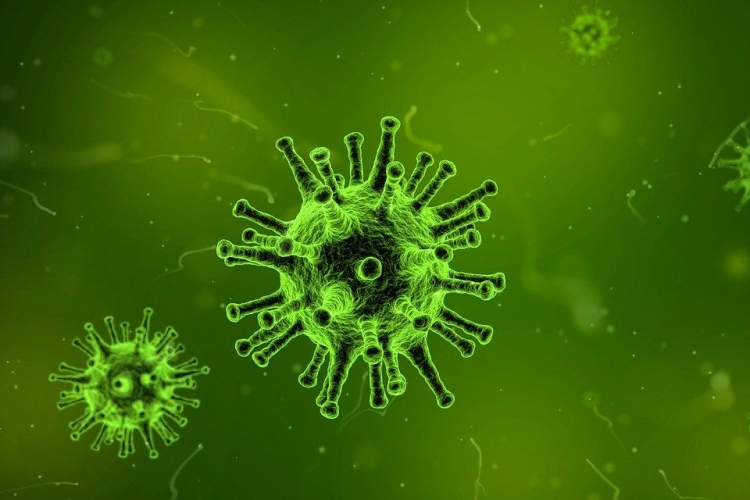 Továbbra is a közép-kínai Hupej tartományt sújtja leginkább a koronavírus