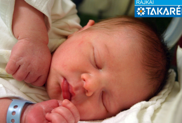 Mezei Máté, Mosonmagyaróvár