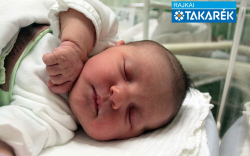 Hajdú Izabella, Kapuvár