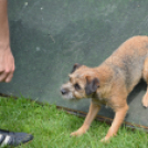 Agility Attilával (Fotó: Nagy Mária)