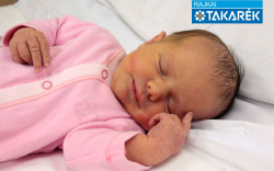 Hegedűs Flóra Anna, Kisbodak