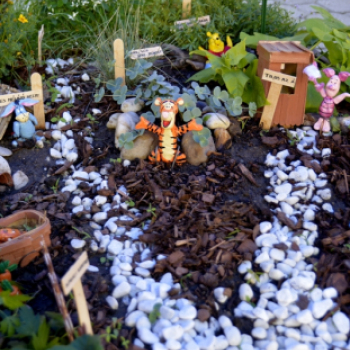 Apró kezek-Csodakertek: A közönségszavazás eredménye