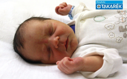 Nagy Péter Pál, Lébény