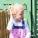 Az Ebuló Kutyaiskola interaktív kutyás bemutatója a Pillangó óvodában (Fotó: Stipkovits Veronika)