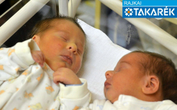 Gál Noel és Gál Máté, Mosonszolnok