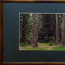 A szigetköztől Stendörrenig - Dr. Grin Igor fényképkiállítása (Fotó: Horváth Attila)