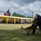 4. Kéklámpás Nap (Fotó: Horváth Attila)