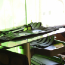 Nyílt nap a Speed Fitness-ben! (Fotó: Nagy Mária)