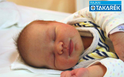 Schneider Sára, Mosonudvar