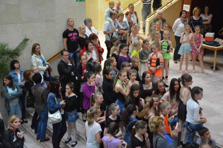 Nyárcsalogató (Fotó: Nagy Mária)