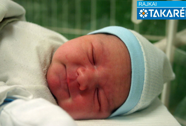 Horváth Zalán, Mosonmagyaróvár