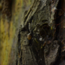 Tapintsd meg, képzeld el, leld örömöd benne című kiállítás és megnyitója ( Fotó: Patács Judit )