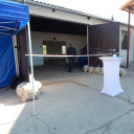 Brikett üzem átadó Mosonmagyaróvár- 2014.08.29.