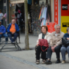 Kult-utca fesztivál (Fotó: Nagy Mária)