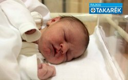 Vulcz Bence, Lébény