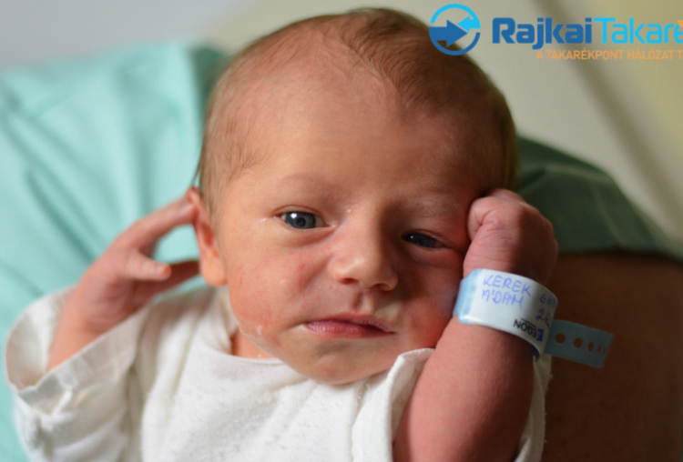 Kerek Sámuel Ádám, 3360 gr. Móvár