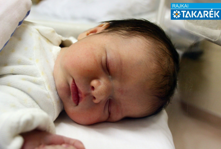 Hegedűs Tamás Zoltán, Sopronnémeti