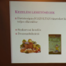 Ételallergia a családban és a Megoldások - Mutass Utat 2015 - programsorozat