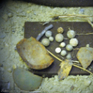 48-as kiállítás a Fehér Ló Közösségi Házban