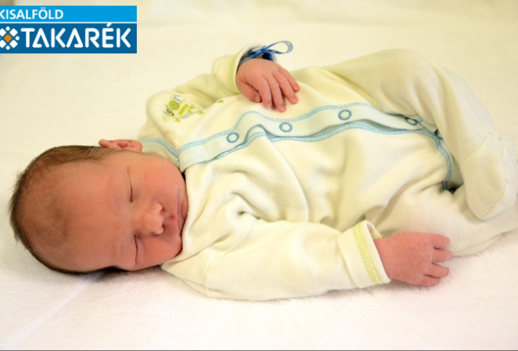 Stróbl Botond Vilmos, Darnózseli