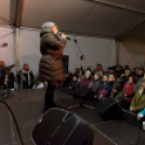 Szulák Andrea - Szeretni bolondulásig (Fotó: Horváth Attila)