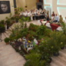 Termény- és virágkiállítás 