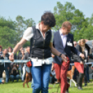 CAC kutyakiállítás (Fotó: Nagy Mária)