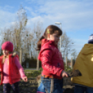 Faültetés a Nolato-nál (Fotó: Nagy Mária)