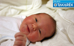 Feil Dana Emese, Mosonmagyaróvár