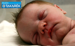 Pap Abigél Vanda, Mosonmagyaróvár