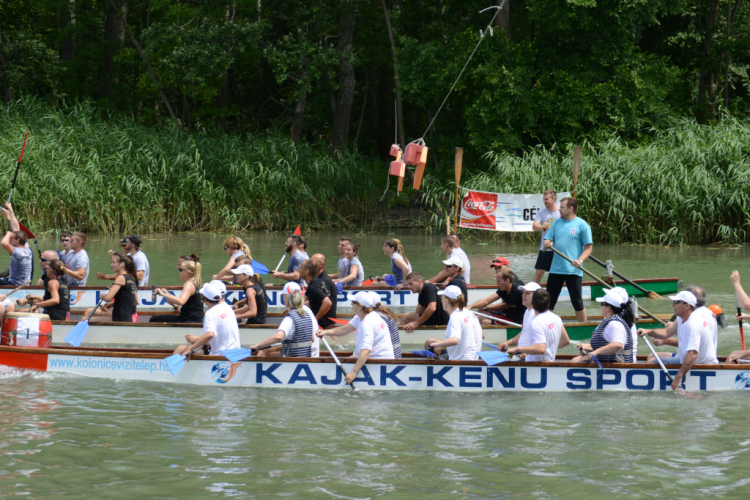 Voluta 2014 szombat /versenyek/