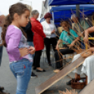 Szent István Napok 2015 (csütörtök) (Fotó: Horváth Attila)