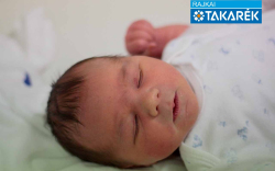 Mátyus Bálint, Mosonszolnok