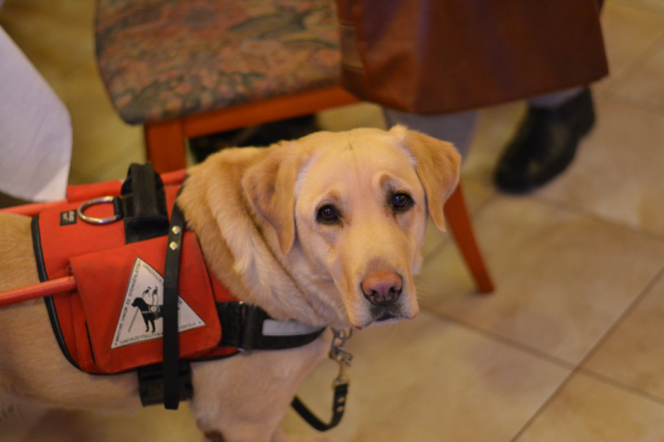 Lions hálaadó teadélután (Fotó: Nagy Mária)