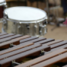 Erzsébet napi Vigalom