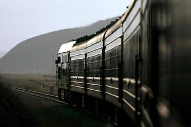 Nemzetközi gyorsvonaton utazó külföldieket tartóztattak fel