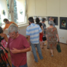 Makró című fotókiállítás (Fotó: Nagy Mária)