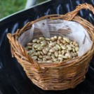 ÉKES TOLLAK – meseíró pályázat díjkiosztója és a Kolompos Zenekar koncertje (Fotó: Stipkovits Veronika)