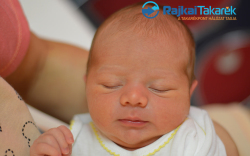 Felkai Benedek Máté, Mosonmagyaróvár