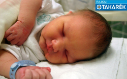 Posta Csongor, Mosonmagyaróvár