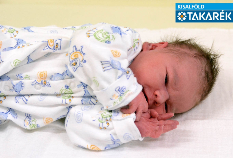 Tóth Levente Tamás, Mosonmagyaróvár