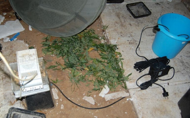 Szüretelés után bukott le