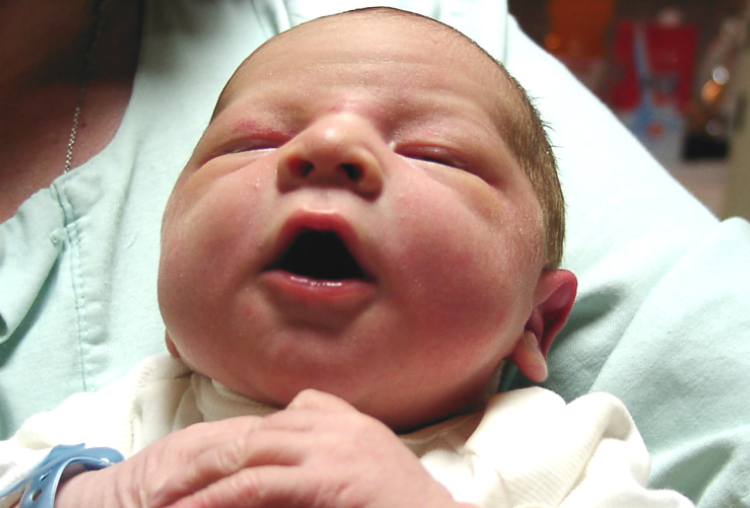 Fülöp Balázs Noel 4140 gr, Móvár