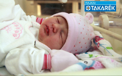 Ádám Hanna, Mosonmagyaróvár