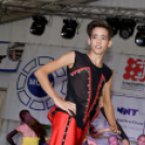 Szigetköz ízei, vármegye borai fesztivál / VÁRMEGYE SZÉPE - VÁRMEGYE HANGJA (Fotó: Horváth Attila)