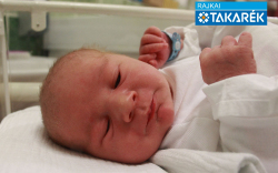 Pirger Rajmond, Hédervár