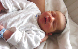 Sebestyén-Szelle Nándor