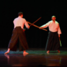 Japán nap a Flesch Központban