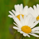 Tilai Gergely - Kerekesszéktől az önálló fotókiállításig